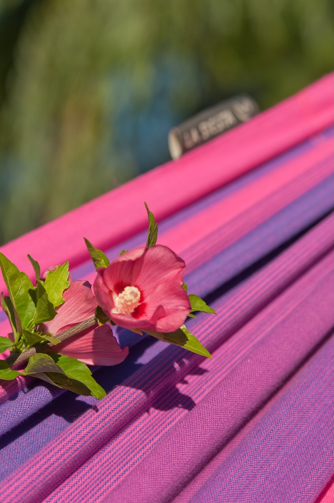 La Siesta Orquídea Purple - Klassische Einzel-Hängematte aus Baumwolle