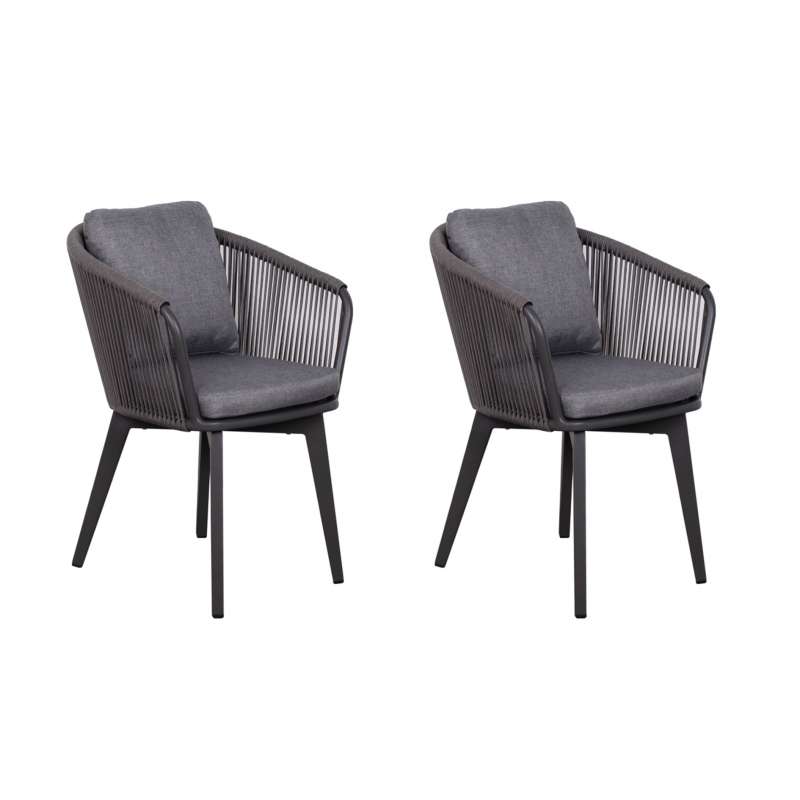 deVries 2x Dining-Sessel "BRESCIA" 2 Stück, Größe 58 x 63 x 78 cm, antharzit