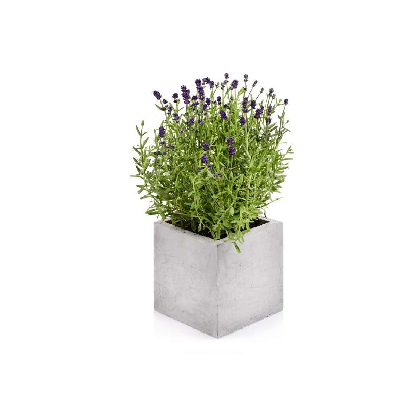 Beske-Manufaktur Beton Blumentopf Kubik M 17x17x17cm Pflanztopf Blumenkübel Pflanzgefäß